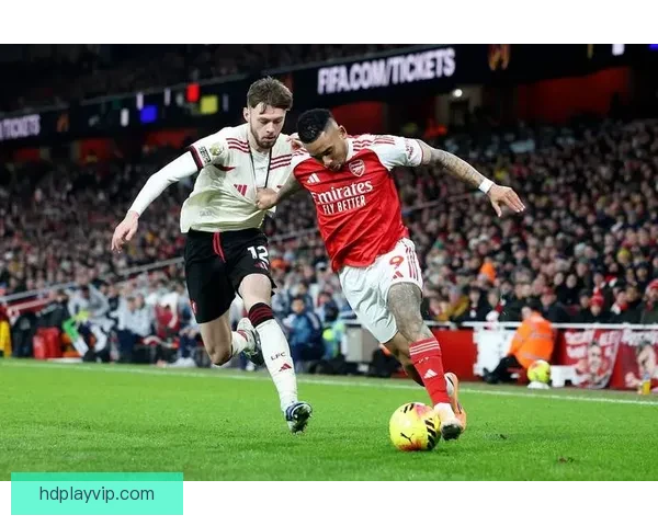 2324赛季英超零封榜解析阿森纳35次登顶防线之王统治力全季